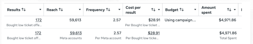 Ads Manager: 172 low-ticket purchases at $28.91 per purchase